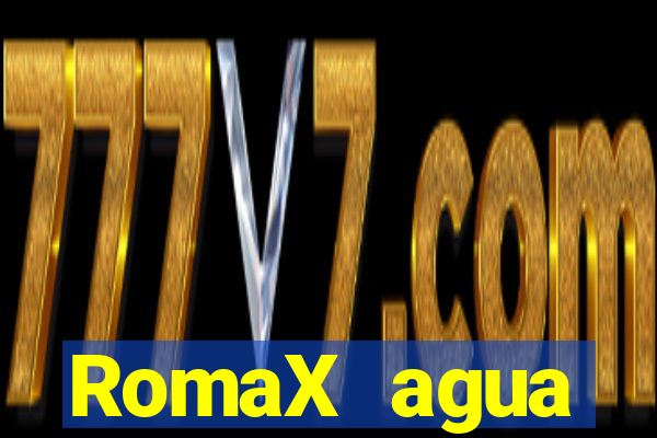 RomaX agua sanitaria fispq agua sanitaria romax